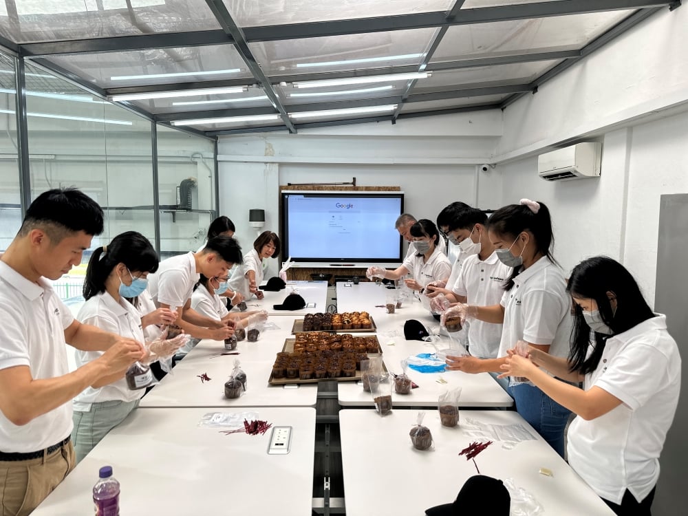 Project Dignity - 2.jpg